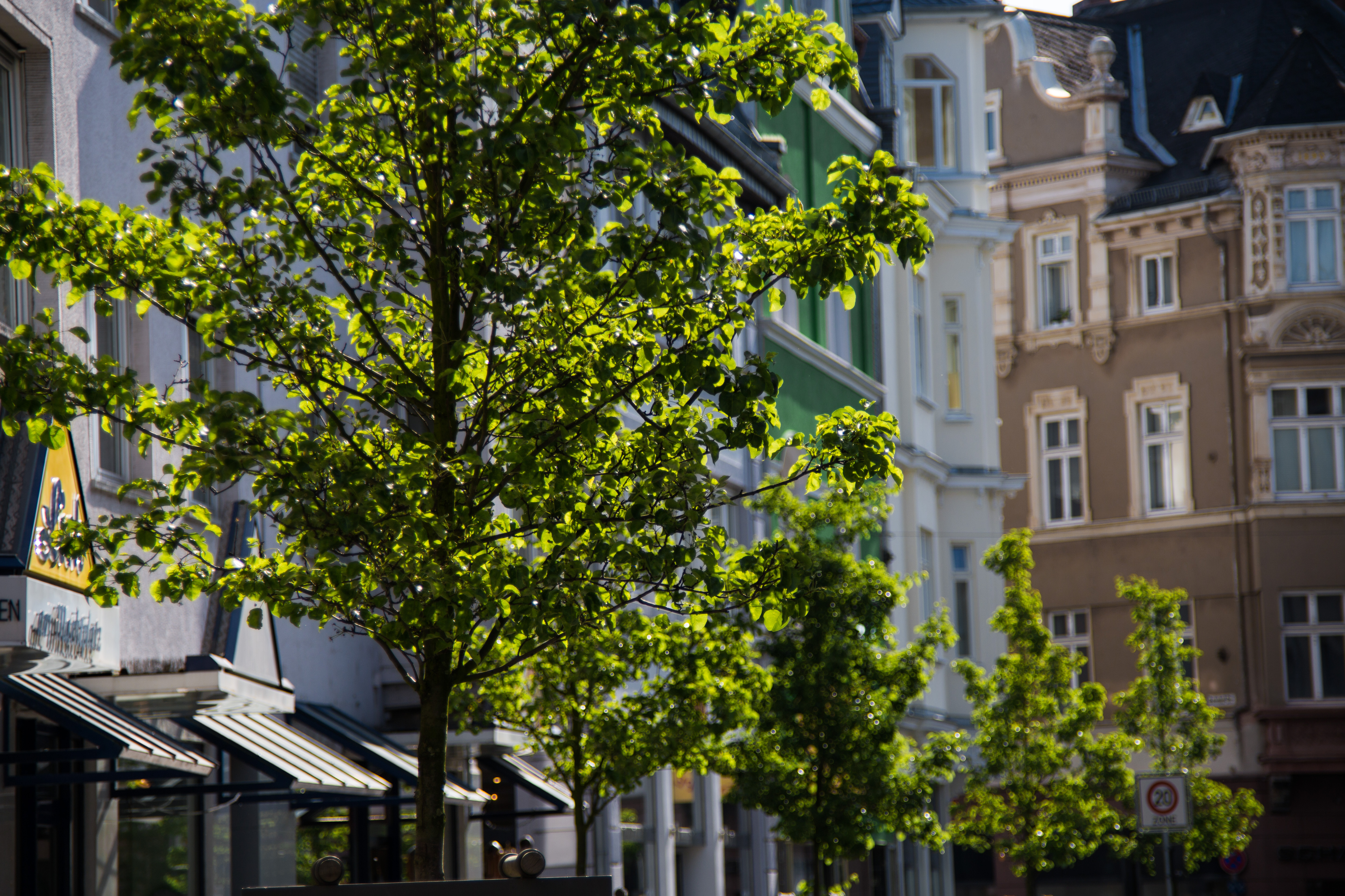 Sehenswertes im Marktquartier